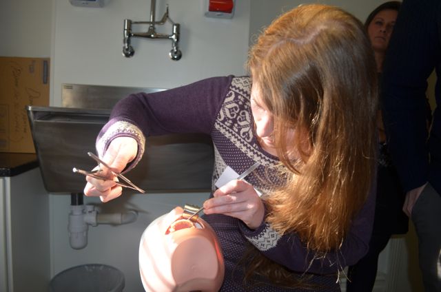YDSC Oral Surgery Day