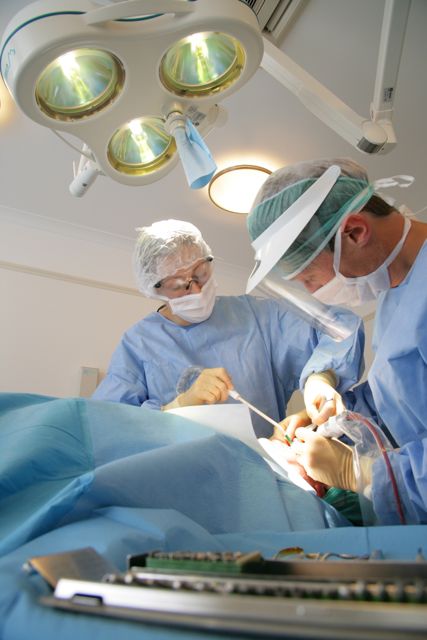 New course: Surgical Implant Placement Day (Live Skills)